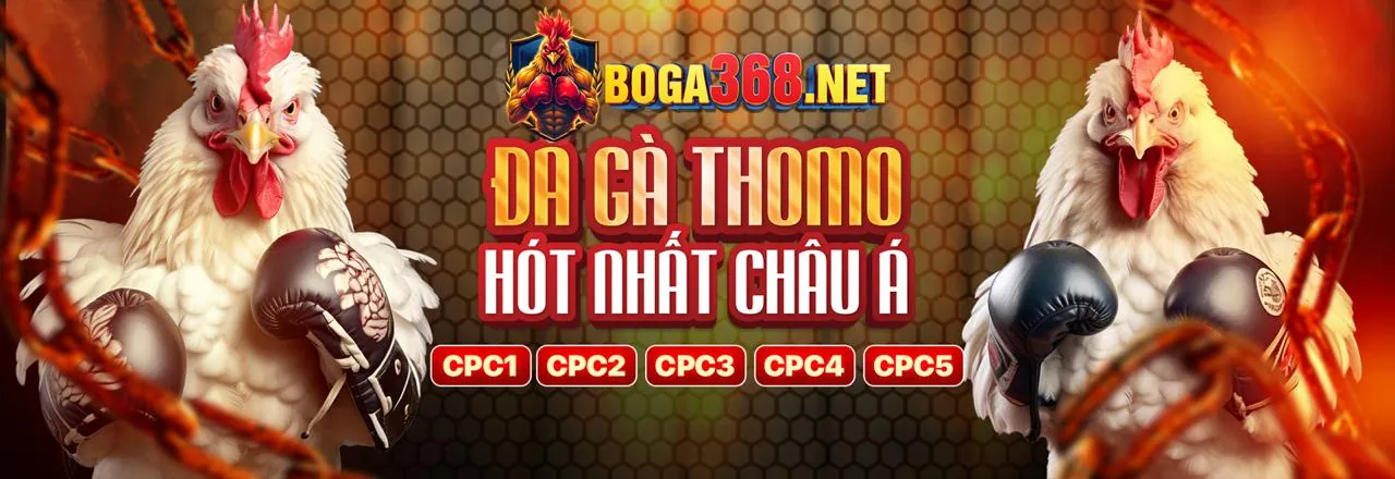 Đá Gà Trực Tuyến helo888 khuyến mãi